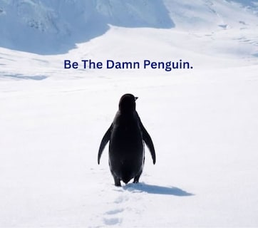 कहां गया उसे ढूंढो...अकेले पहाड़ की ओर चलते Penguin ने आखिर क्यों इंटरनेट को रुला दिया?