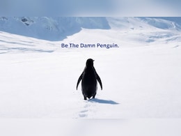 कहां गया उसे ढूंढो...अकेले पहाड़ की ओर चलते Penguin ने आखिर क्यों इंटरनेट को रुला दिया?