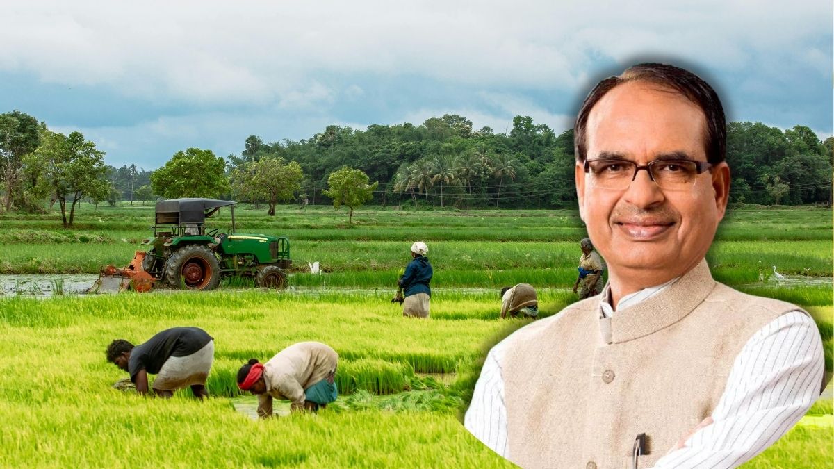 किसानों को घटिया बीज दिया तो 30 लाख तक का जुर्माना, सजा भी होगी! Budget सत्र में आएगा बीज विधेयक