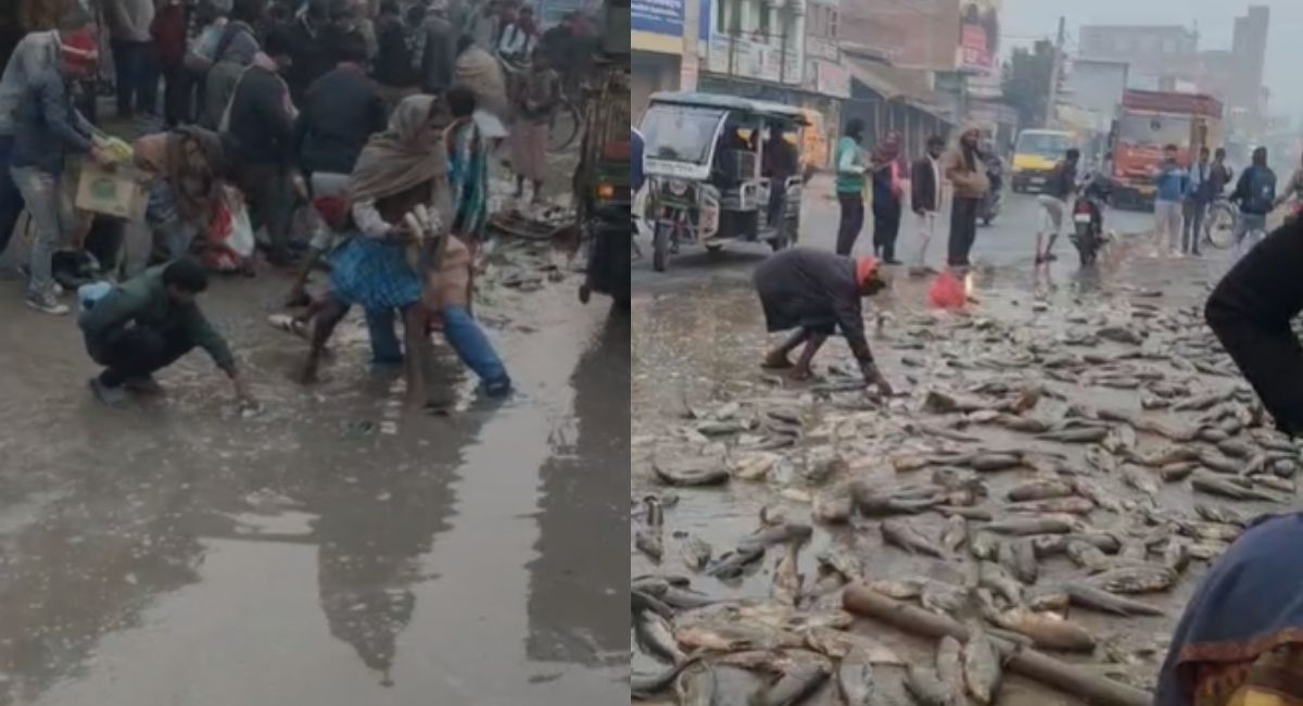 Bihar News: वो मर गया और भीड़ मछली लूटती रही.. बिहार के सीतामढ़ी में ये कैसी मानवता?