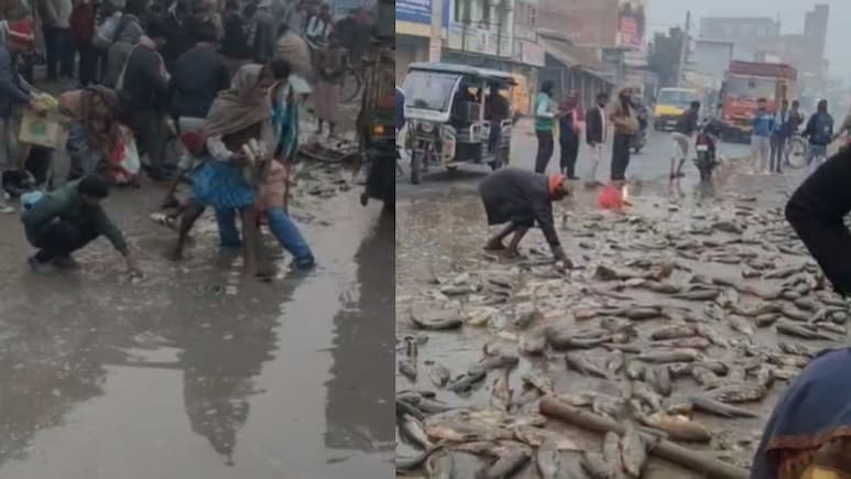 Bihar News: वो मर गया और भीड़ मछली लूटती रही.. बिहार के सीतामढ़ी में ये कैसी मानवता?
