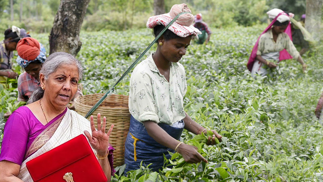 Union Budget 2026: Tea Industry In Assam Urges FM For MSP And Better Wages