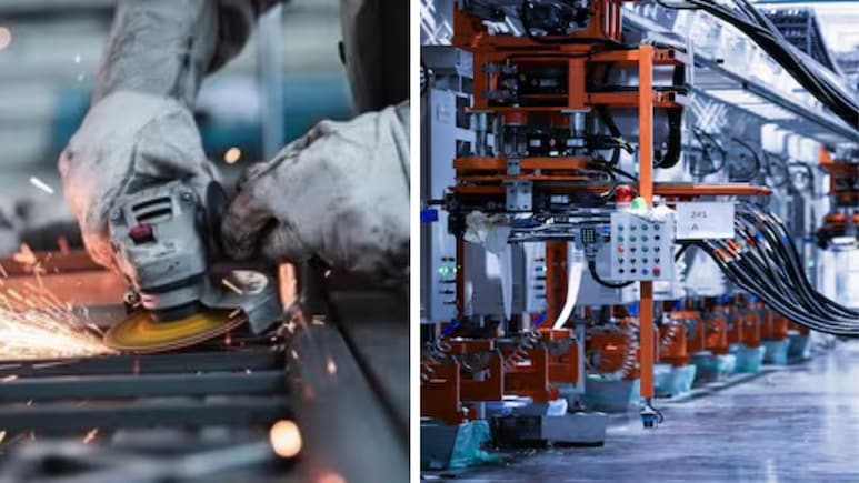 IIP Records Growth: बजट से पहले आई गुड न्यूज, देश की ग्रोथ ने गाड़े झंडे