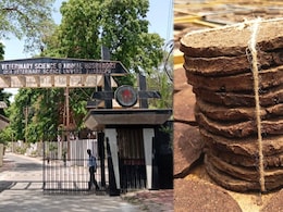 MP में गोबर-गौमूत्र के रिसर्च के नाम पर ₹3.50 करोड़ का भ्रष्टाचार! क्&zwj;या है पंचगव्य रिसर्च प्रोजेक्ट?