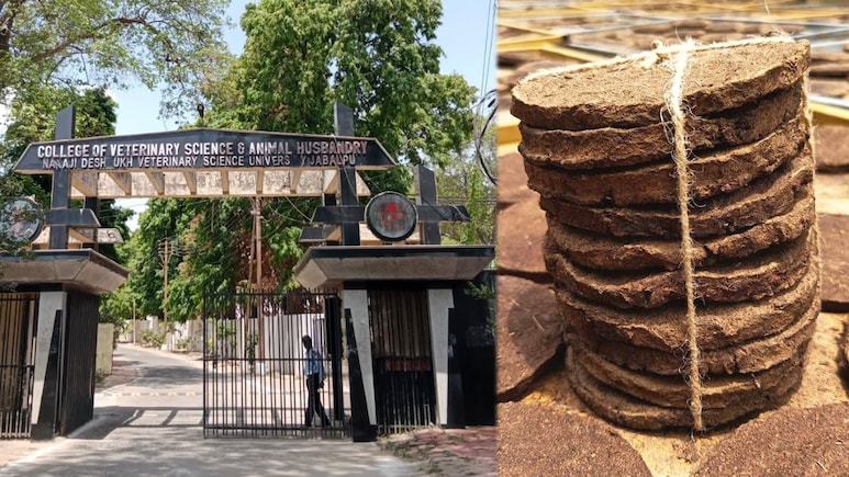 MP में गोबर-गौमूत्र के रिसर्च के नाम पर ₹3.50 करोड़ का भ्रष्टाचार! क्&zwj;या है पंचगव्य रिसर्च प्रोजेक्ट?