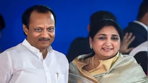 Shadows To Spotlight: Sunetra Pawar Set To Fill Husband's Massive Shoes