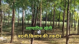 Rajasthan: बेंगलुरु से आए इस आइडिया ने बदली भरतपुर के किसान की किस्मत, 55 हजार लगाकर हर साल कमा रहा लाखों का रिटर्न