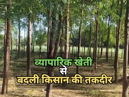 Rajasthan: बेंगलुरु से आए इस आइडिया ने बदली भरतपुर के किसान की किस्मत, 55 हजार लगाकर हर साल कमा रहा लाखों का रिटर्न