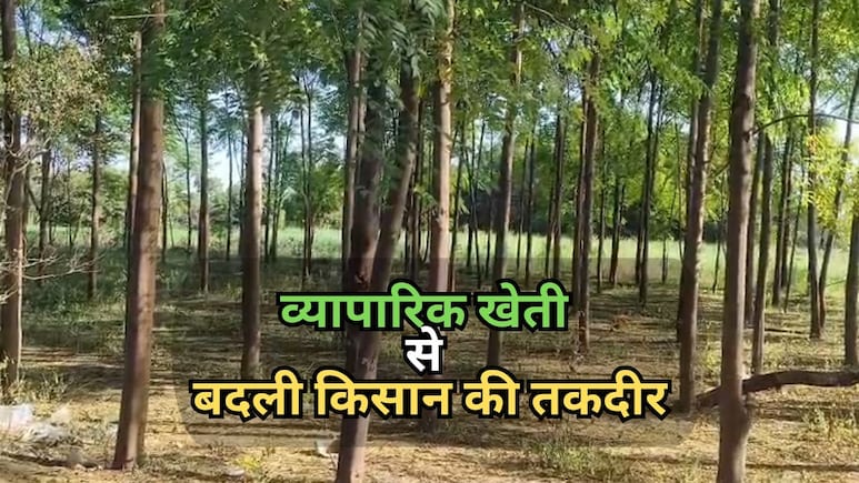 Rajasthan: बेंगलुरु से आए इस आइडिया ने बदली भरतपुर के किसान की किस्मत, 55 हजार लगाकर हर साल कमा रहा लाखों का रिटर्न