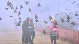 Rajasthan Weather: रेगिस्तान में ठंड का कहर, शीतलहर और घने कोहरे की चपेट में राजस्थान, इन जिलों में ऑरेंज अलर्ट जारी