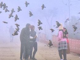 Rajasthan Weather: रेगिस्तान में ठंड का कहर, शीतलहर और घने कोहरे की चपेट में राजस्थान, इन जिलों में ऑरेंज अलर्ट जारी