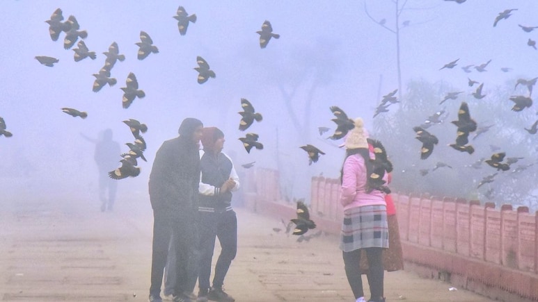 Rajasthan Weather: रेगिस्तान में ठंड का कहर, शीतलहर और घने कोहरे की चपेट में राजस्थान, इन जिलों में ऑरेंज अलर्ट जारी