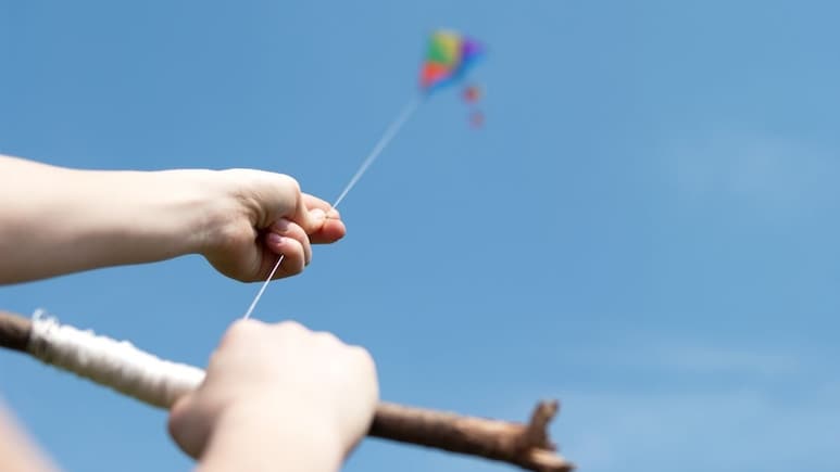 Nylon Manja : नायलॉन मांजा वापराल तर खबरदार!&nbsp;मोठा दंड&nbsp;वसुल करणार; उच्च न्यायालयाचा आदेश&nbsp;