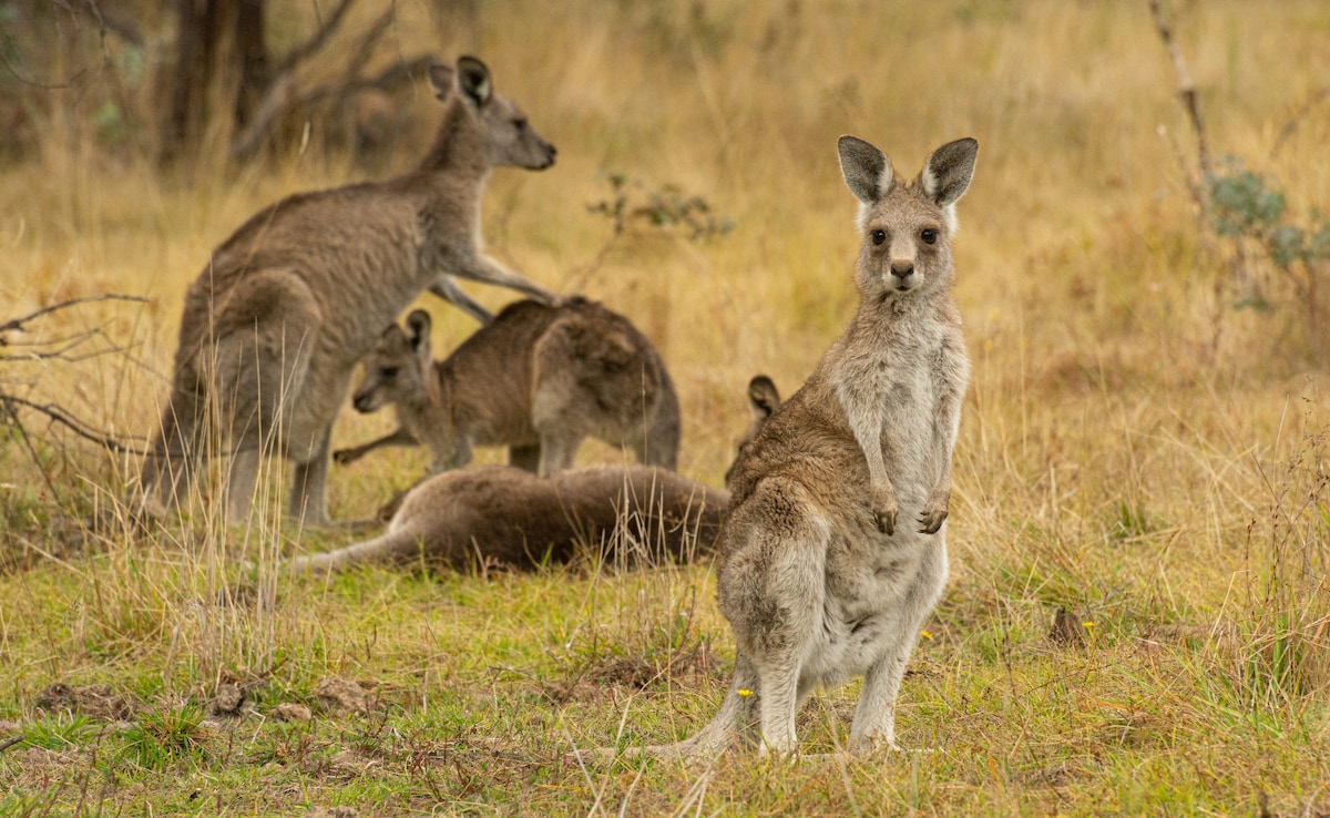 Latest and Breaking News on NDTV Latest and Breaking News on NDTV