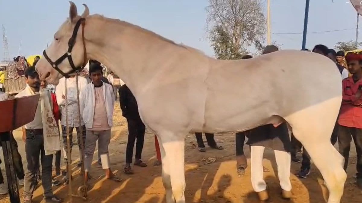 Latest and Breaking News on NDTV Latest and Breaking News on NDTV