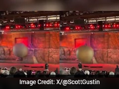 Video: Heroic Disney Employee Injured Attempting To Stop 180-kg Prop Boulder