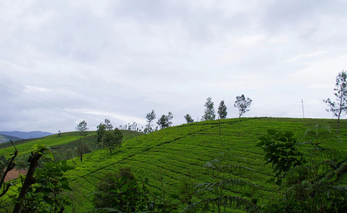 Latest and Breaking News on NDTV