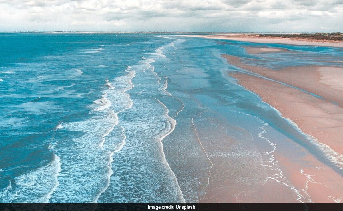 Mysterious Pink Slime on Tasmanian Beaches