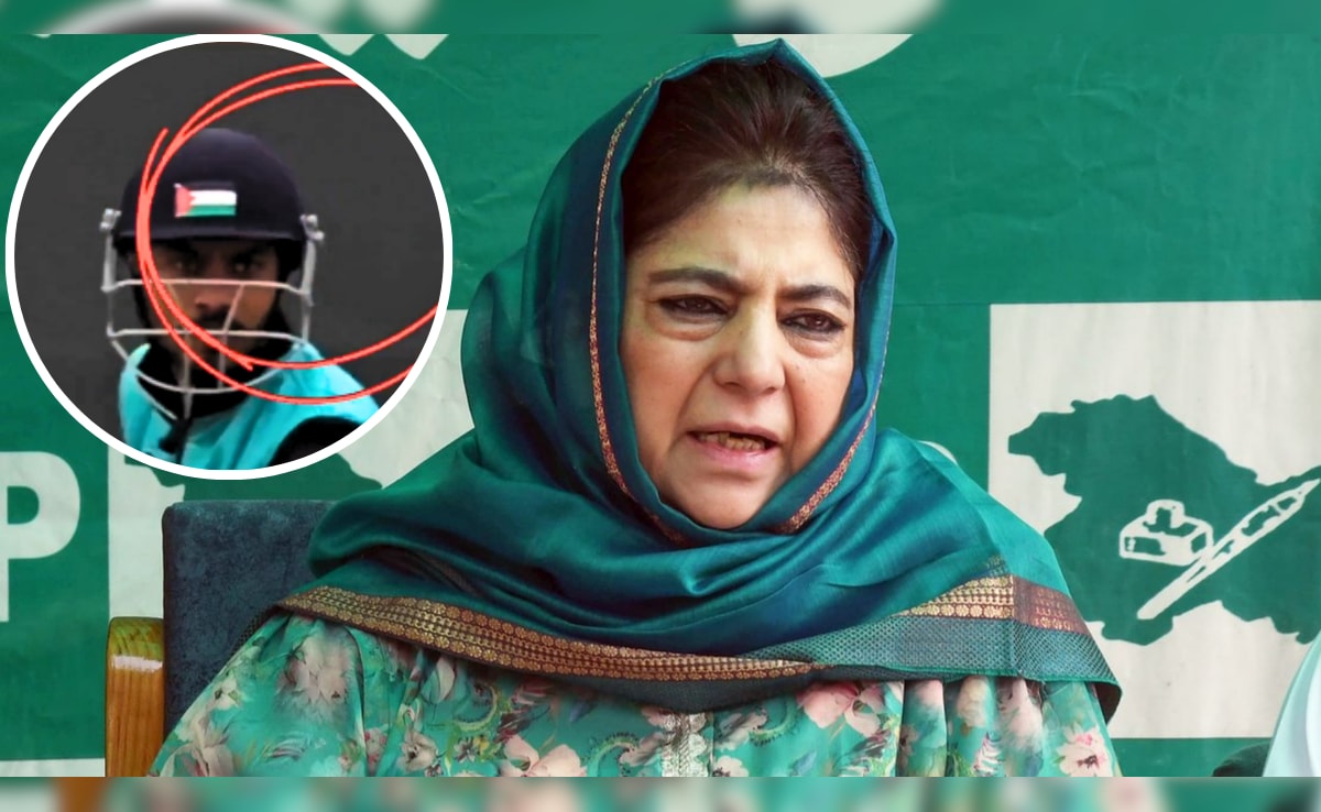 J&K Police Question Cricketer and Organizer Over Palestine Flag Display on Helmet