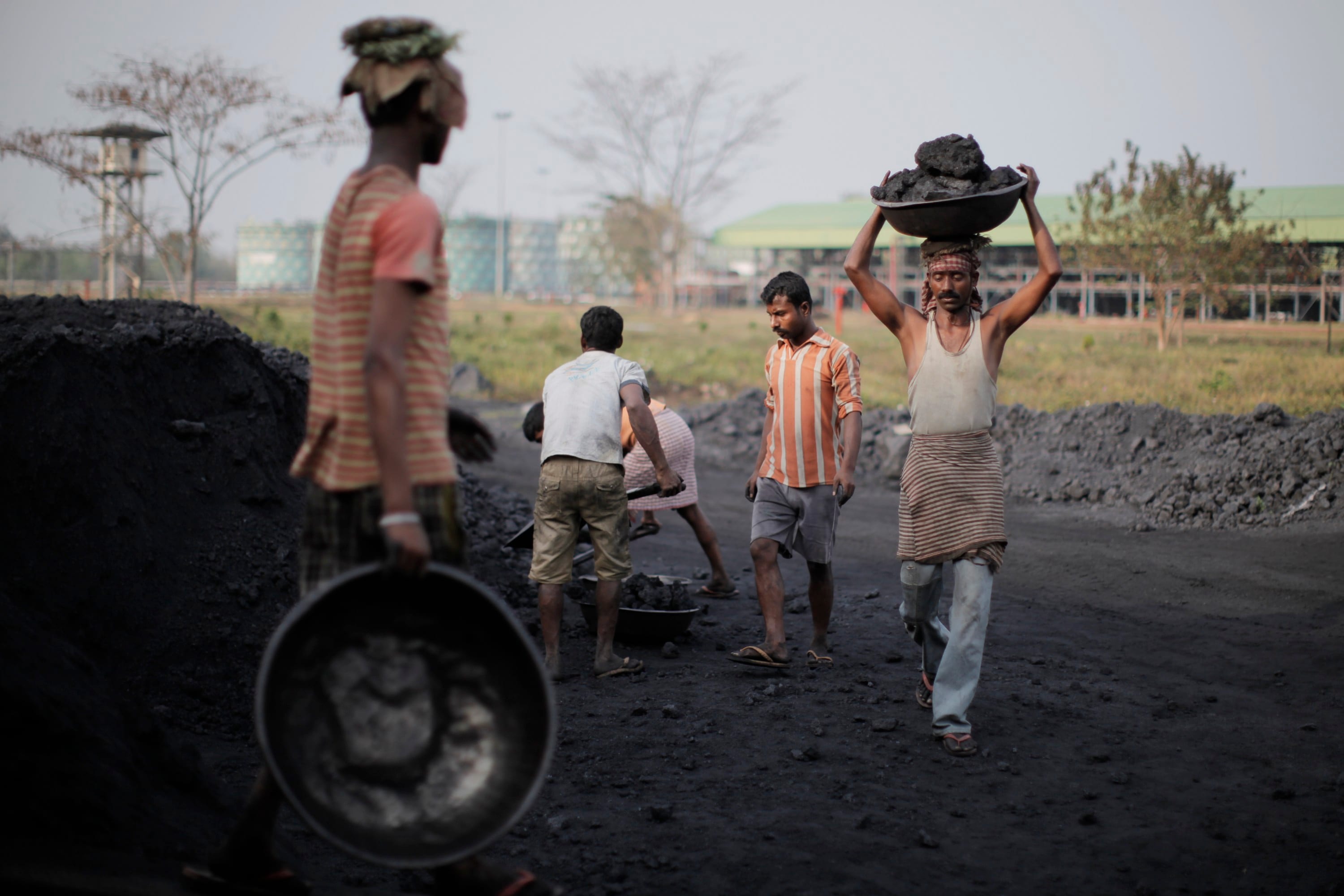 Soon, Policy To Restrict Pet Coke Imports: Oil Minister 