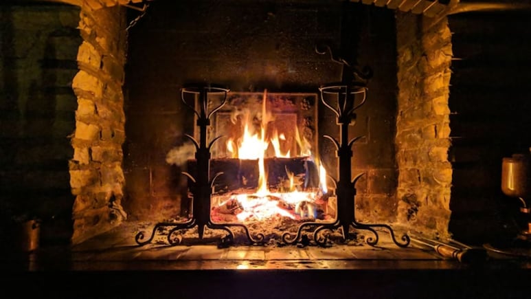 Firewood Burning At Home Linked To Poor Air Quality And Premature Deaths, Finds Study