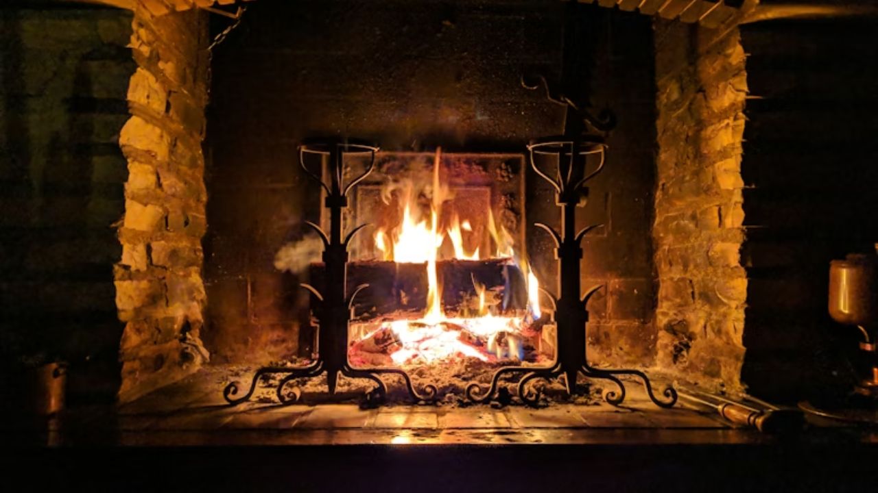 Firewood Burning At Home Linked To Poor Air Quality And Premature Deaths, Finds Study