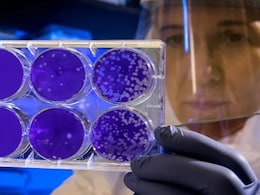 अस्पतालों में फैला जानलेवा फंगस Candida auris, पूरी दुनिया पर मंडरा रहा खतरा, अलर्ट जारी