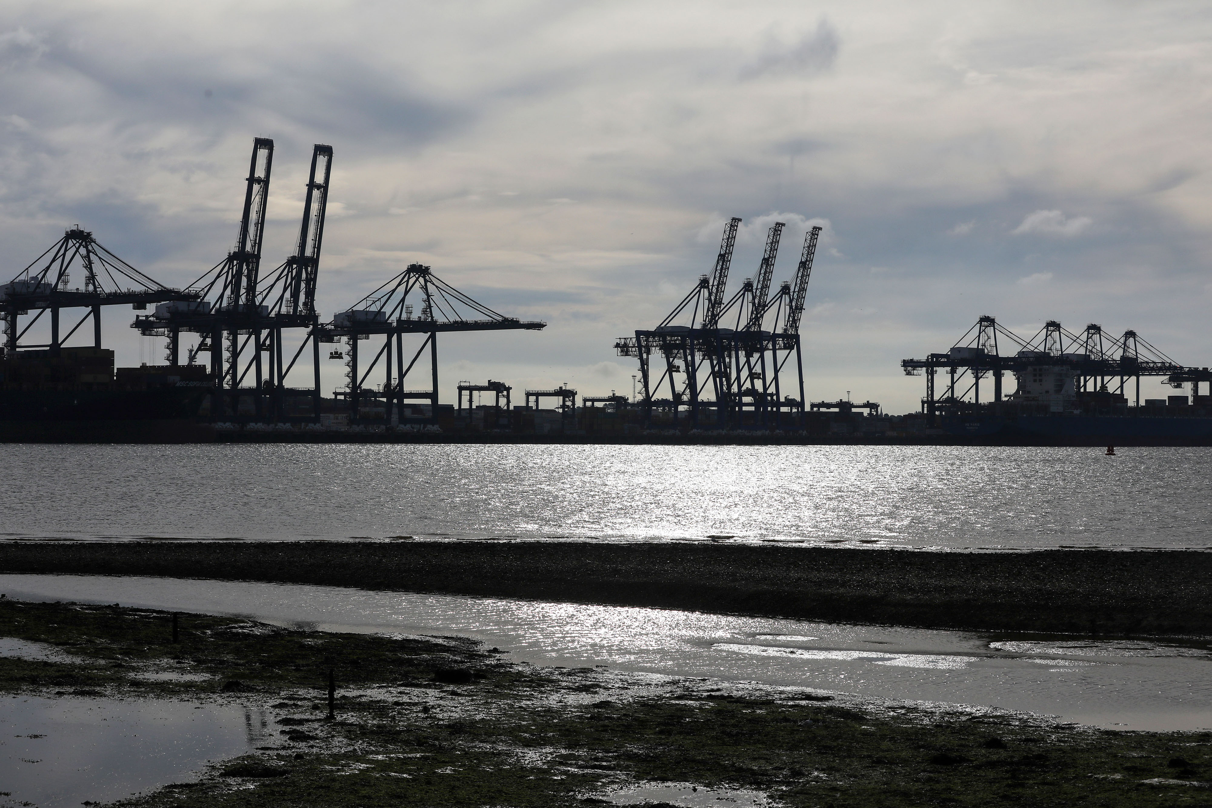 Australia Rules Out Giving Financial Support To Adani Group