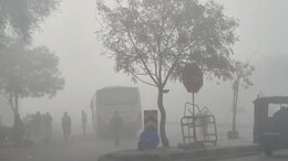 फतेहपुर में पारा -3.4 डिग्री पहुंचा, शीतलहर और कोहरे ने बढ़ाई परेशानी; लोग घरों में कैद