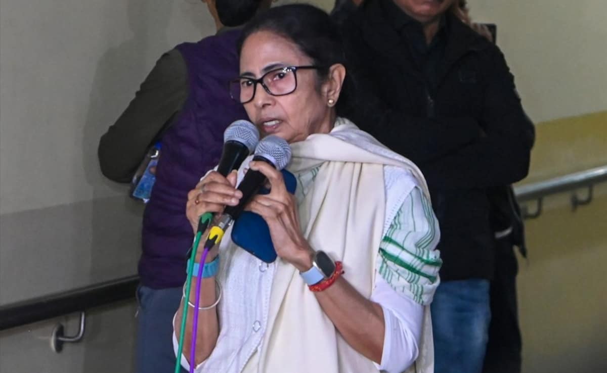 "Will Drag You From Beneath Earth": Trinamool MLA's SIR Warning To Poll Body