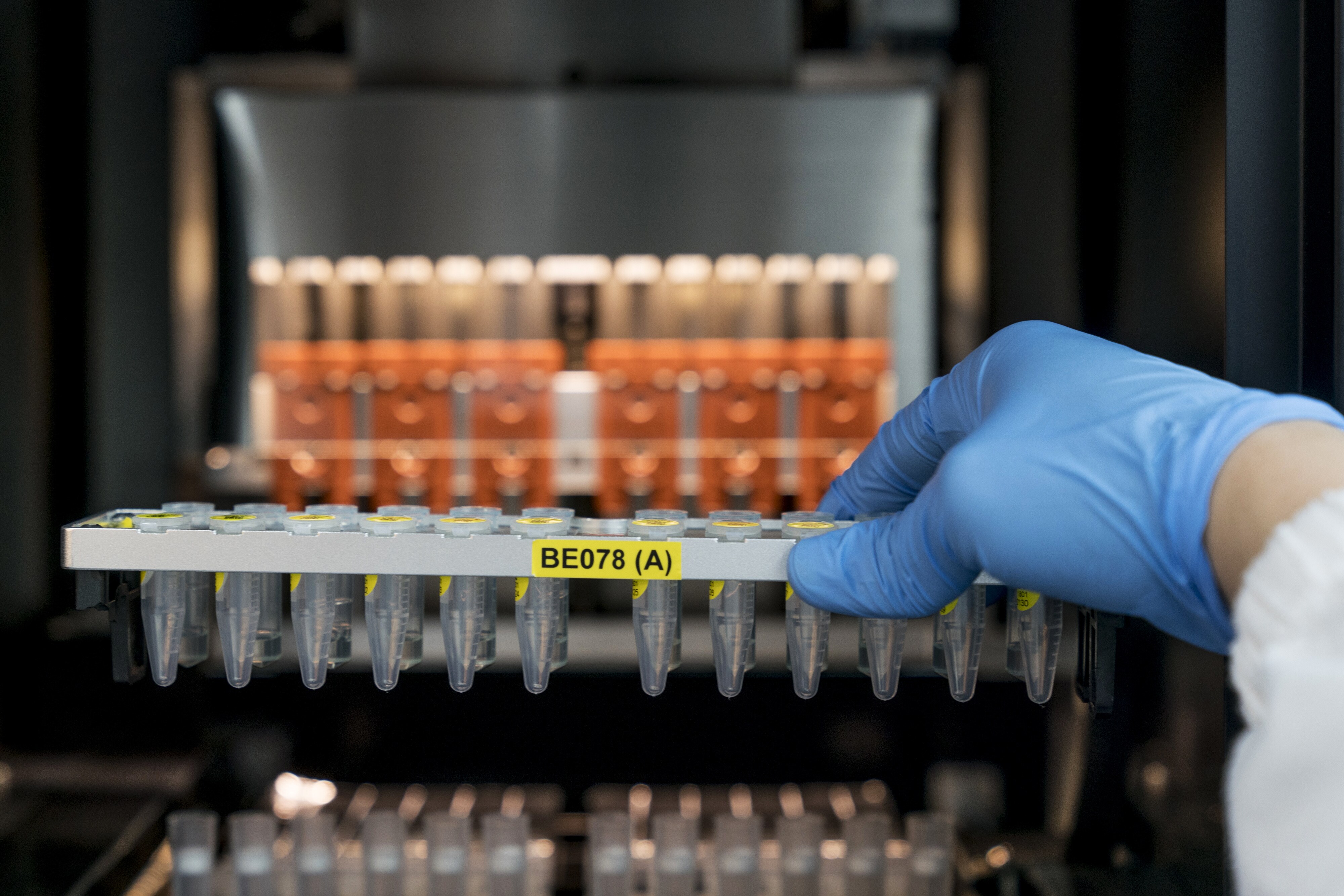 DNA &lsquo;Evidence&rsquo;: Only Opinion, Not Science, And Definitely Not Proof Of Crime!