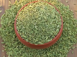 स्कूल कॉलेज के युवाओं में क्यों बढ़ रहे हैं सफेद बाल? जानिए सौंफ से जुड़ा देसी उपाय