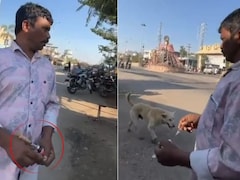 तेलंगाना में सैकड़ों कुत्तों को जहरीला इंजेक्शन, एक चुनावी वादे से इसका है कनेक्शन?