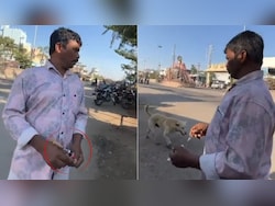 On Camera, Stray Dog Given Lethal Injection In Telangana. 500 Were Killed