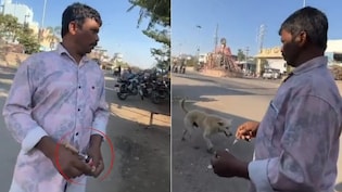 On Camera, Stray Dog Given Lethal Injection In Telangana. 500 Were Killed