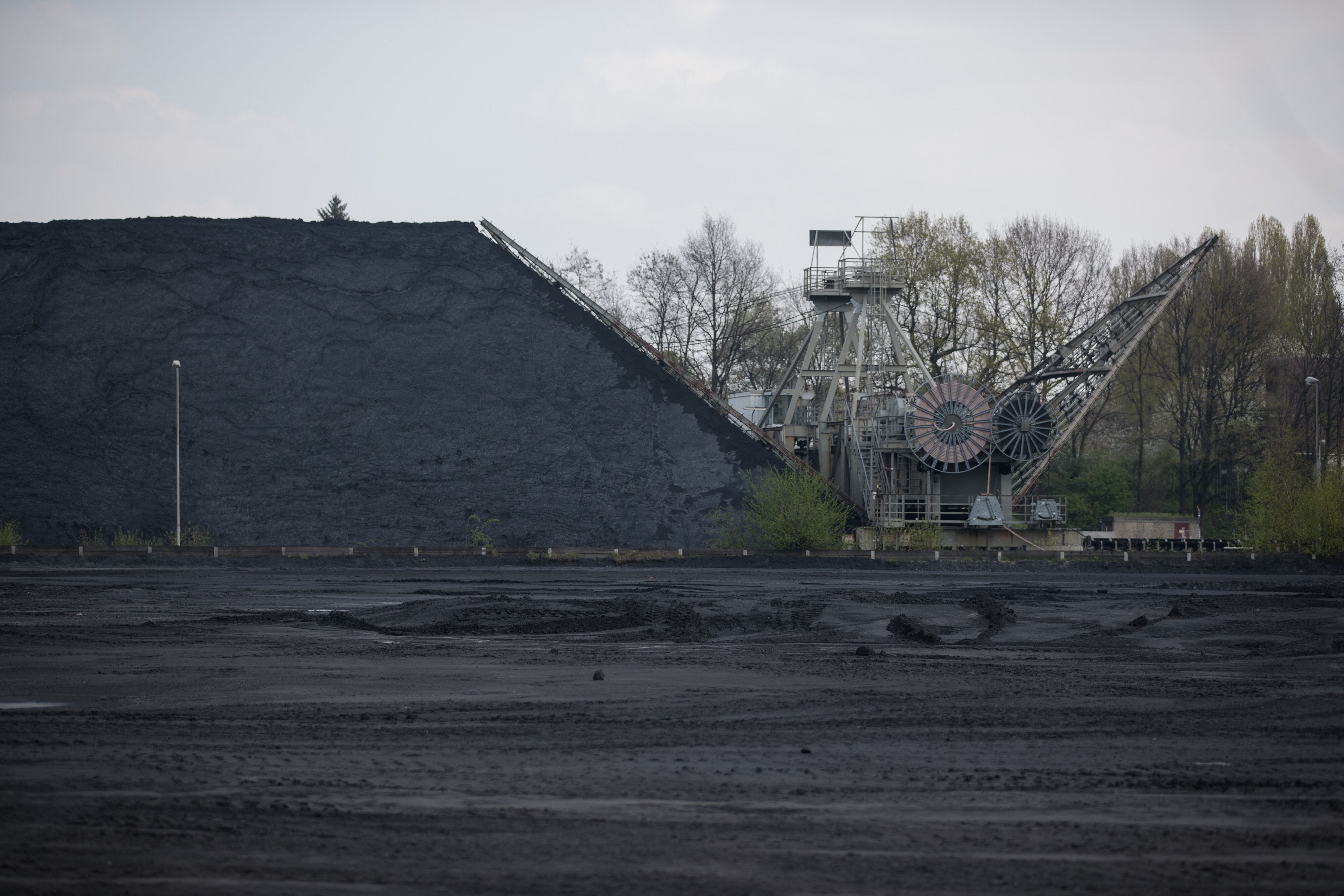 Captive Power Plants May Face The Heat In Election Year