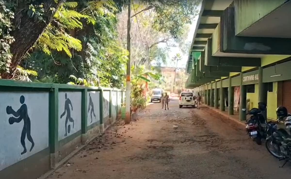 The Art of Baking: From Classic Bread to Artisan Pastries