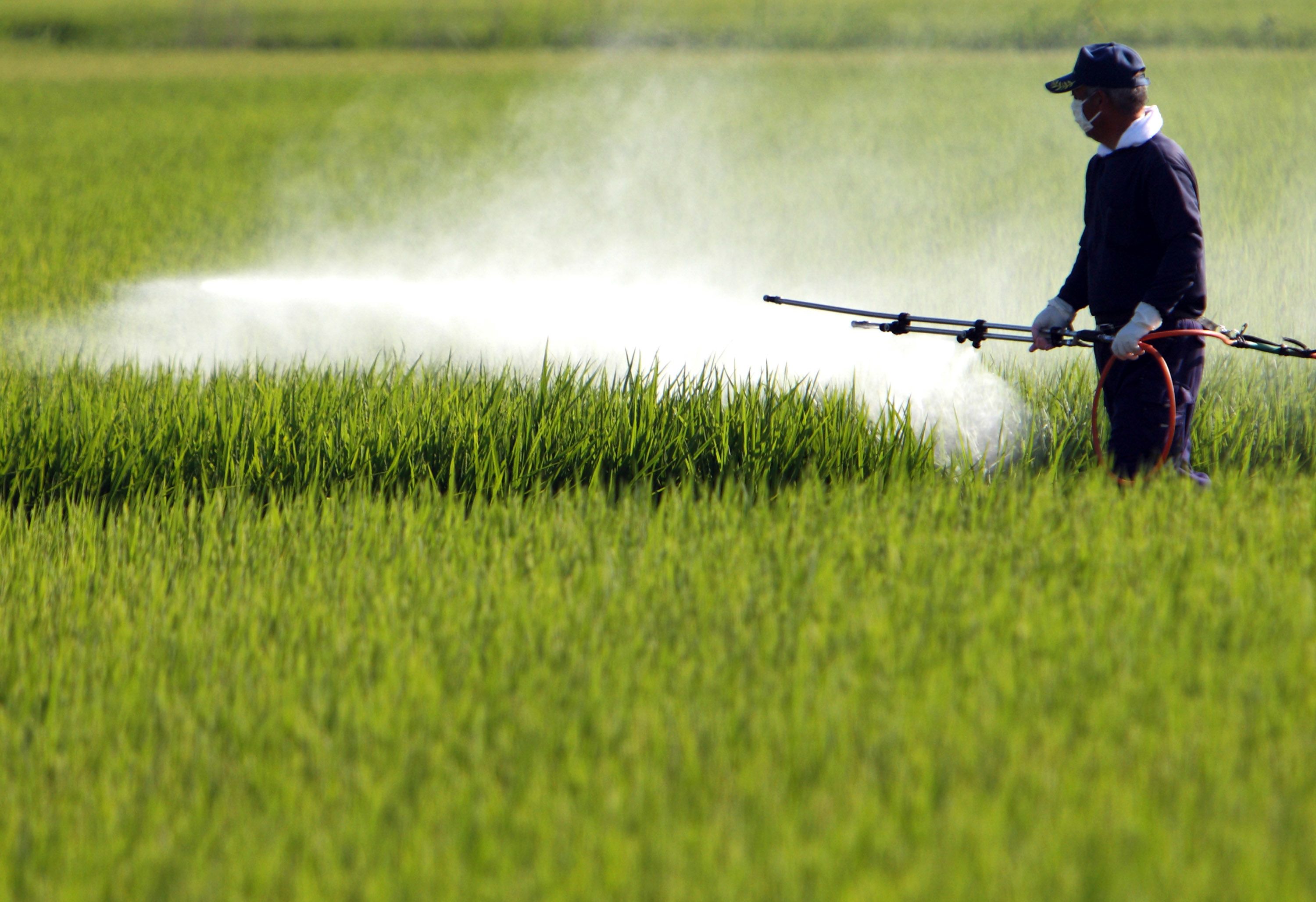 Dhanuka Agritech Q1 Review - Upbeat Future Outlook Amid Near-Term Challenges: Dolat Capital