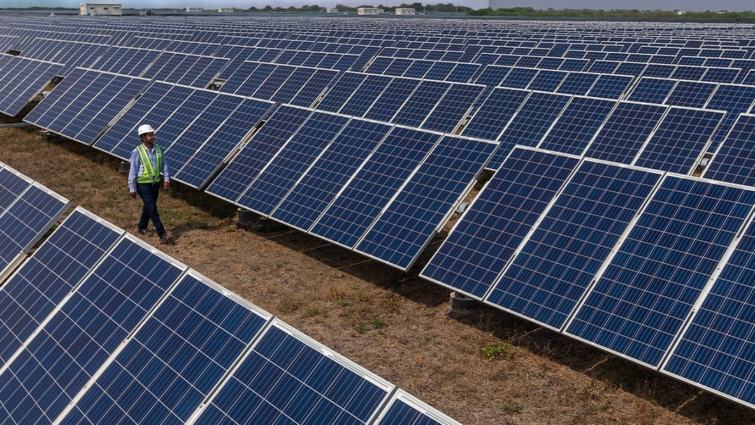 Adani Green Promoter Converts Warrants Worth Rs 608 Crore Into Equity