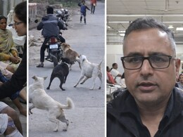 Dog Bite: सिवनी में कुत्तों का कहर, एक ही दिन में 37 लोगों को काटा, अस्पताल में मचा हड़कंप