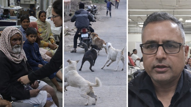 Dog Bite: सिवनी में कुत्तों का कहर, एक ही दिन में 37 लोगों को काटा, अस्पताल में मचा हड़कंप
