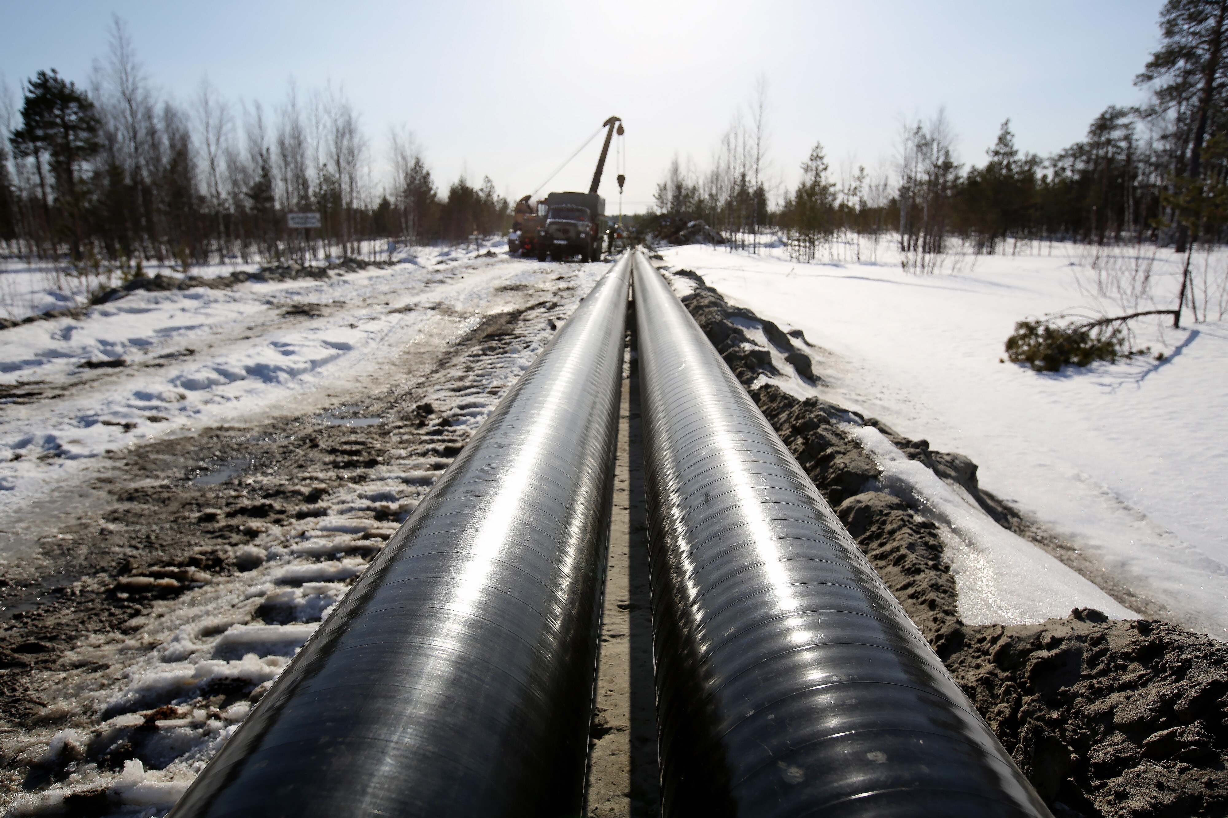 City Gas Distribution Auctions: Adani Gas Wins Most Bids