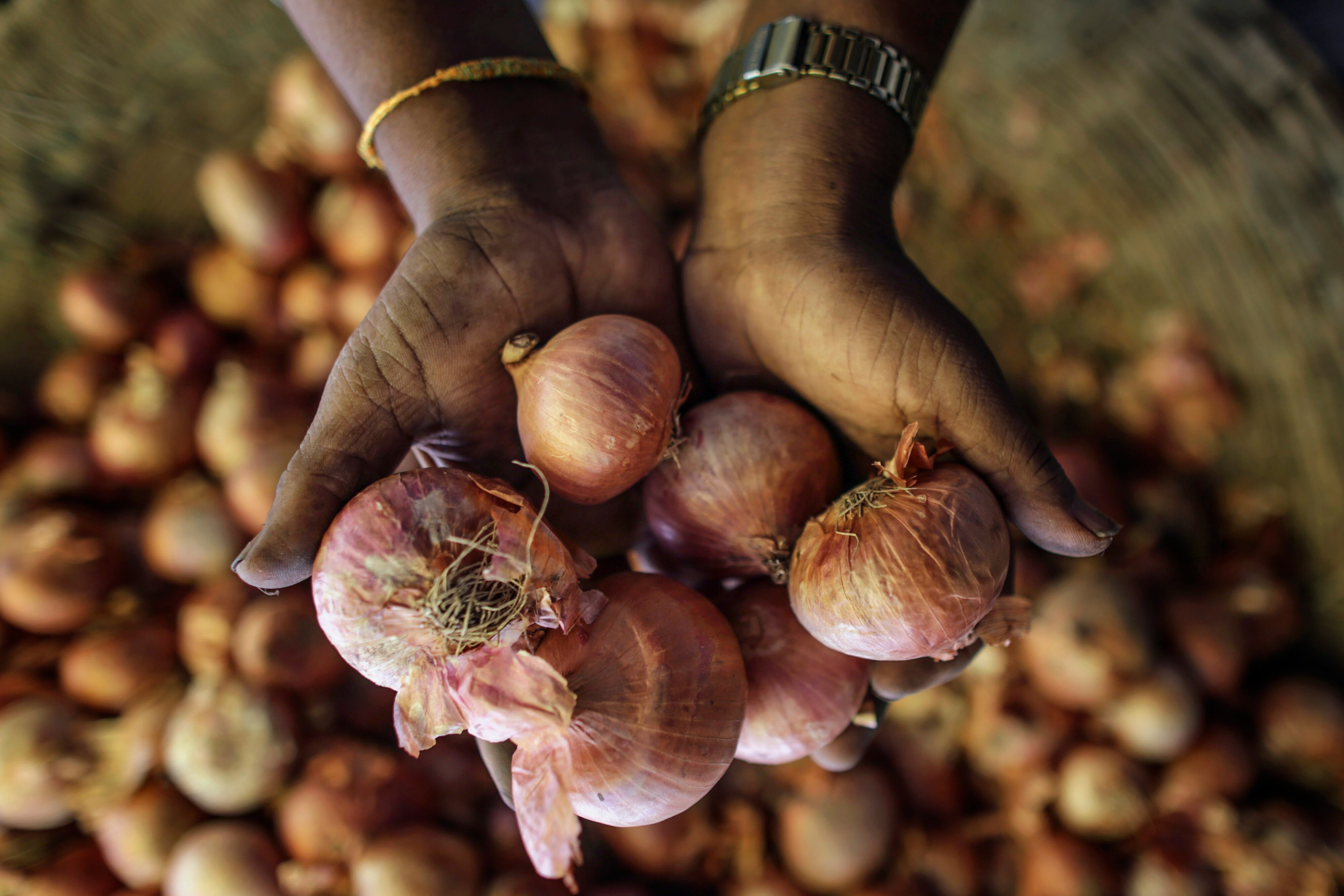 Government Estimates 4.5% Drop In Onion Output For FY18