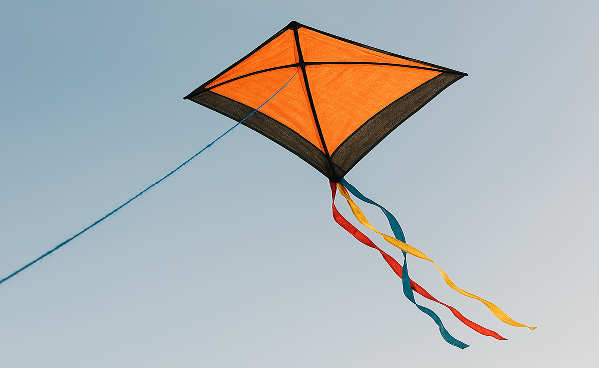 Makar Sankranti: इंदौर में पतंग के साथ उड़ रही 'मौत की डोर', चाइनीज मांझे से युवक का गला कटा