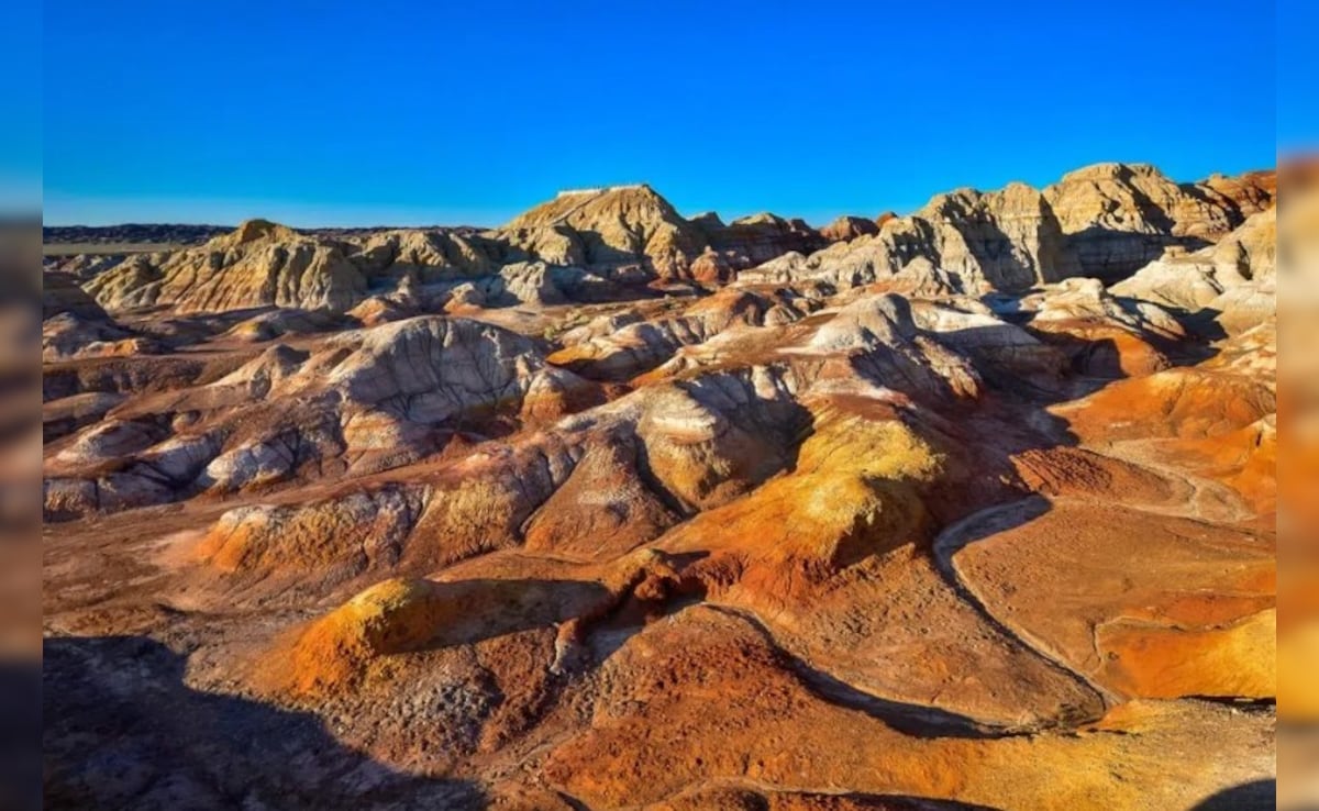 Latest and Breaking News on NDTV