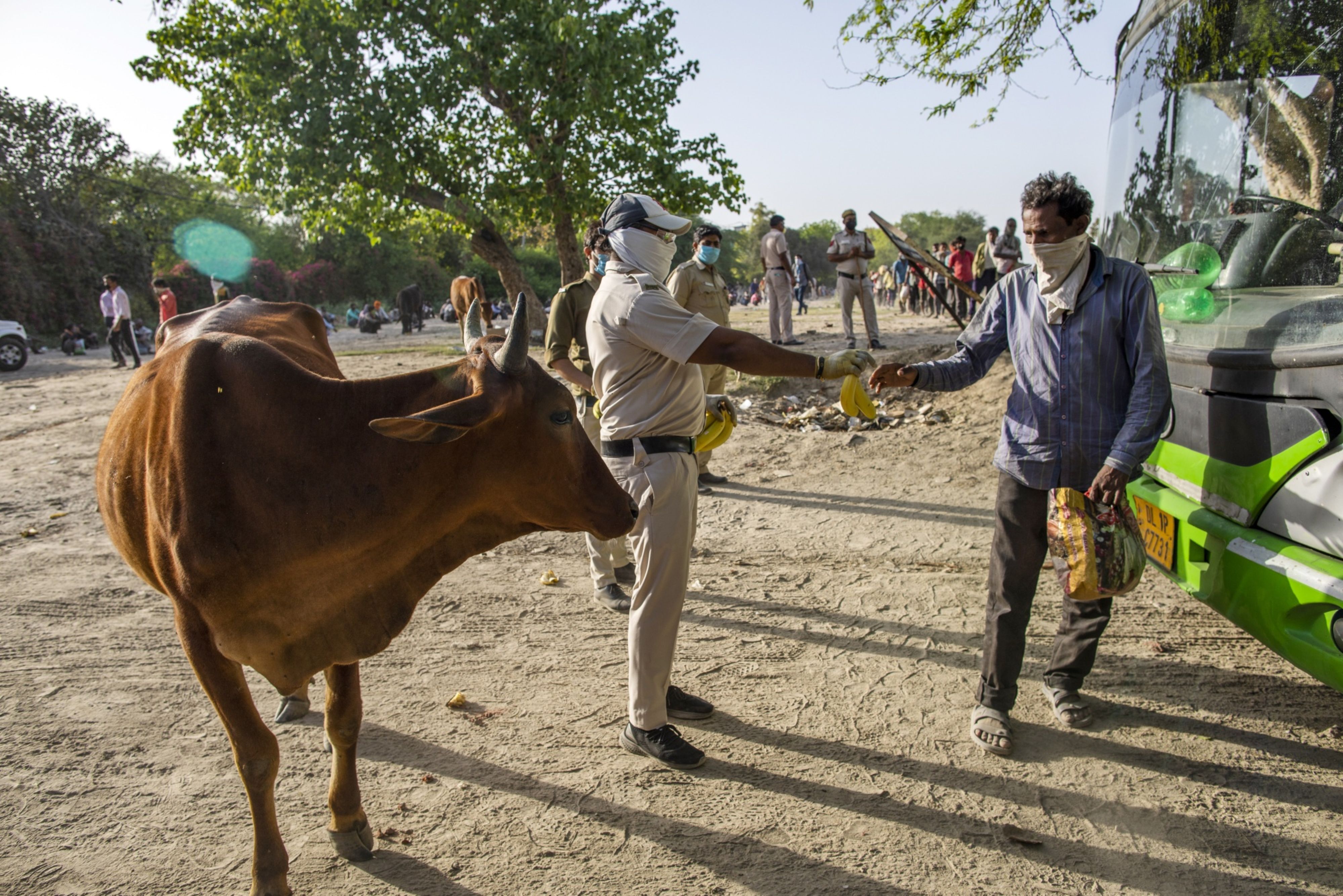 Coronavirus India Updates: Total Cases At 20,471, Death Toll At 652