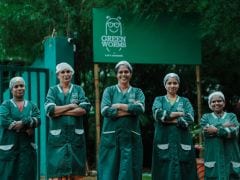 Jabir Karat's Green Worms Leads Kerala's Quiet Revolution In Waste And Sanitation