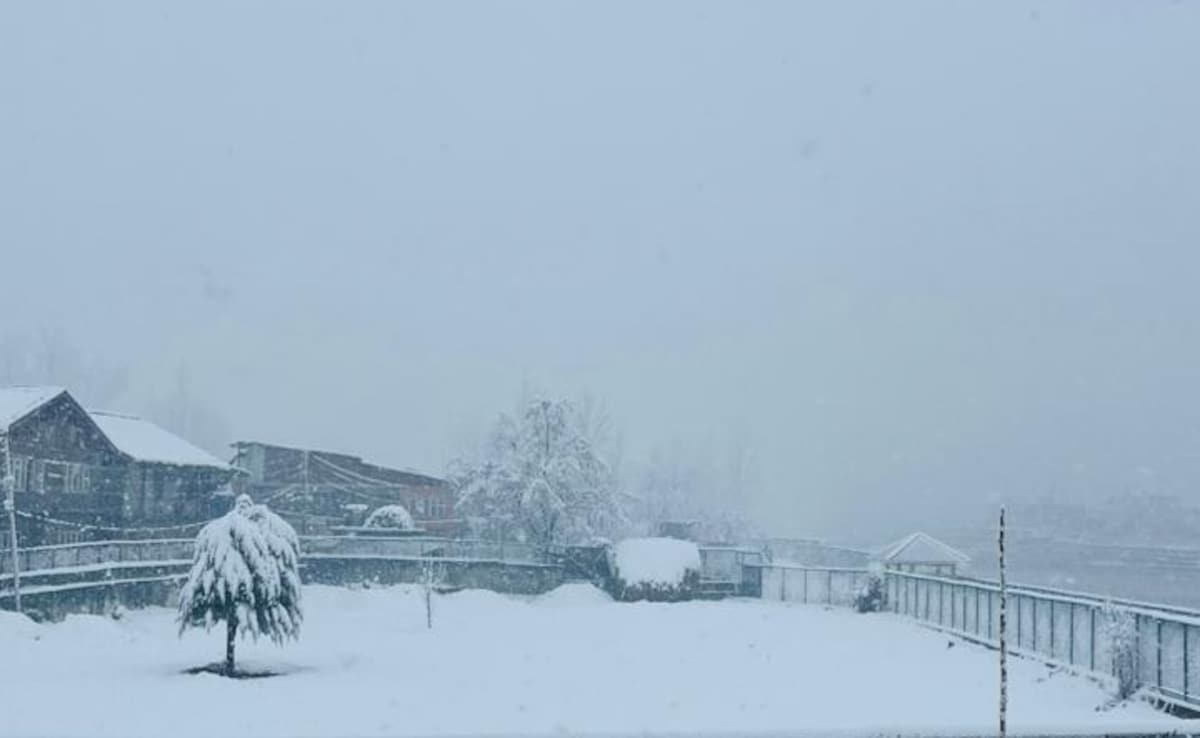 Latest and Breaking News on NDTV Latest and Breaking News on NDTV