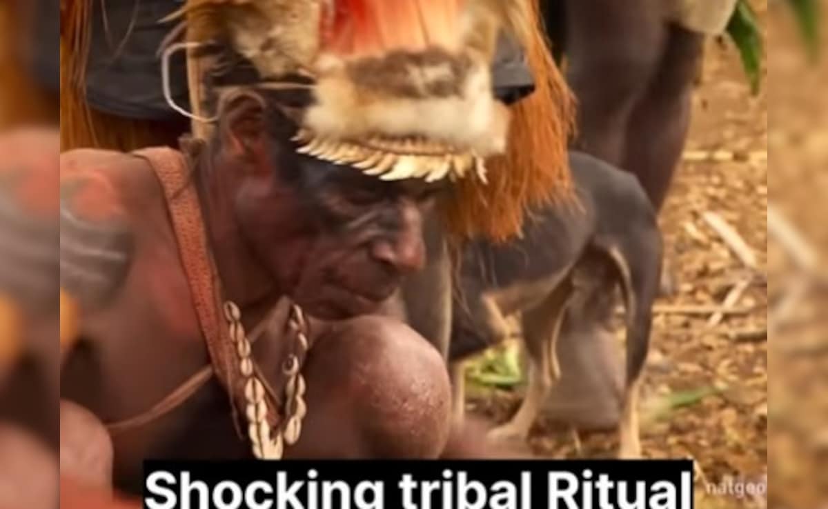 Latest and Breaking News on NDTV