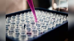 US Revives Drug Origin Debate, Cites Indian Exports